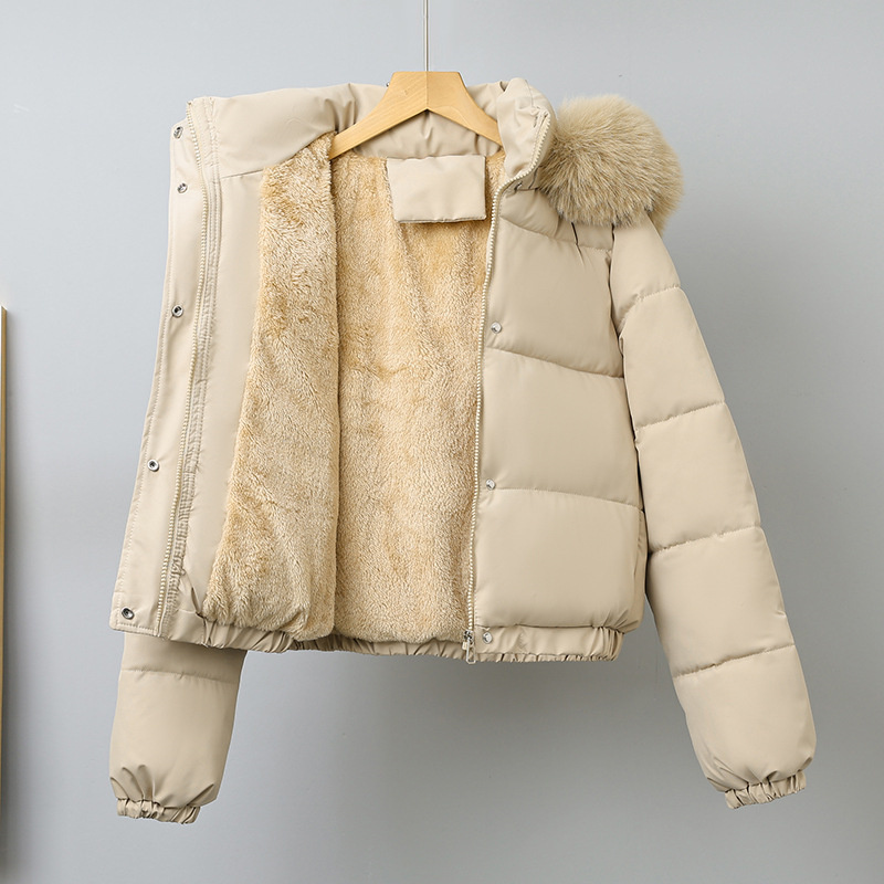 Kış Kısa Parkas kadın Pamuk-ya - Wool Coat Peacoat incelemesi ve fiyatı